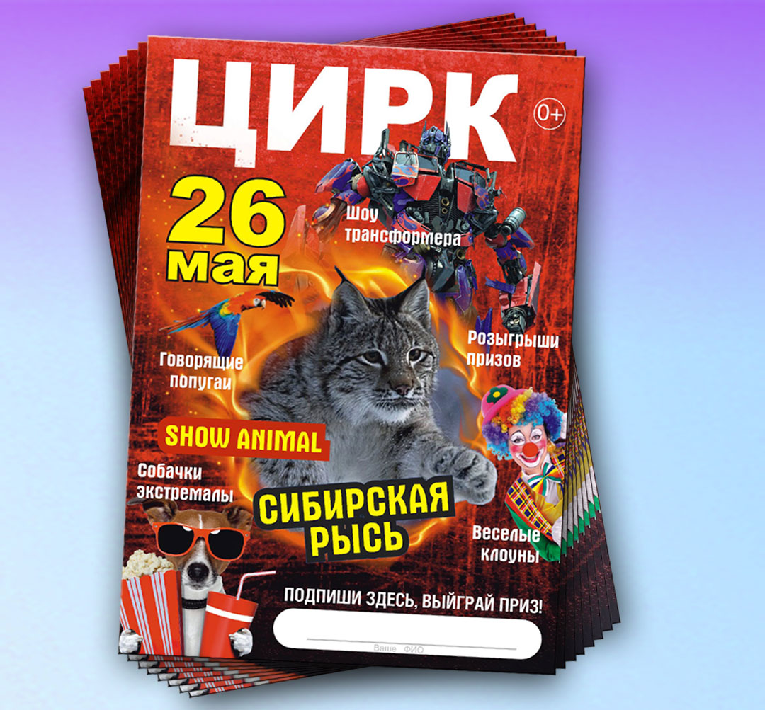 Листовки А6, на глянцевой лащеной журнальной бумаге.