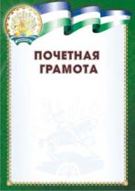 Почетная Грамота ПГ-20